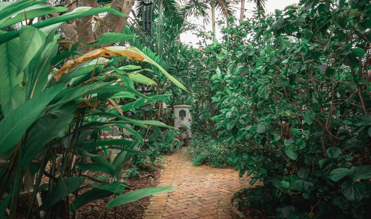 מלון לייק וורת' Chateau Gardens מראה חיצוני תמונה